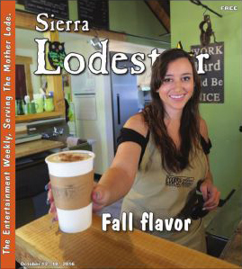 Created Sierra Lodestar, high successful weekly magazine